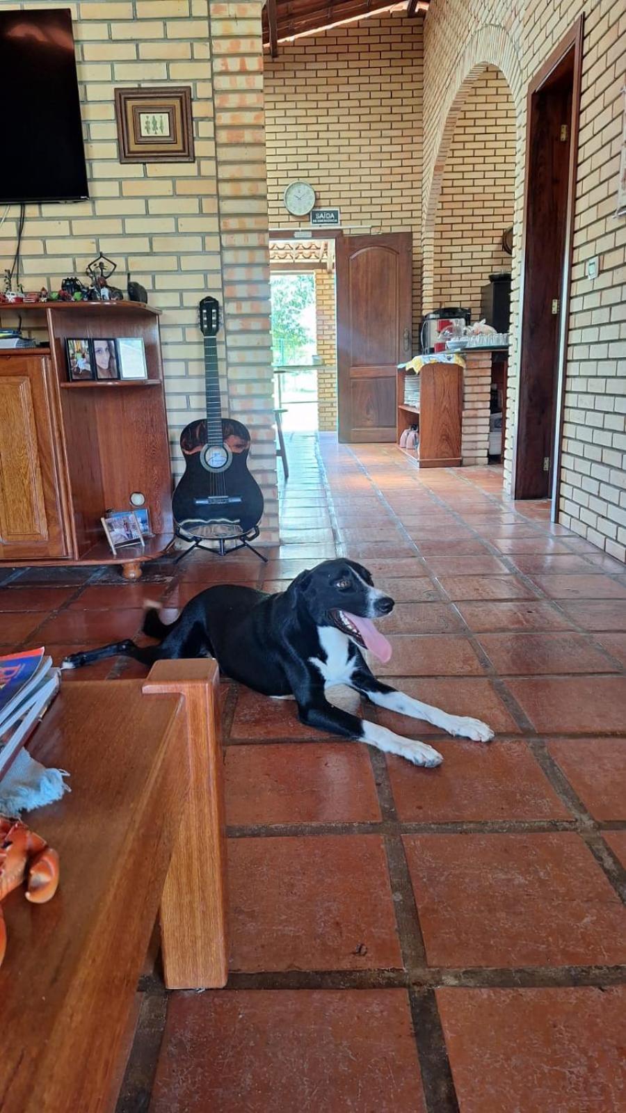 Pousada Solar Das Fontes Beberibe Luaran gambar
